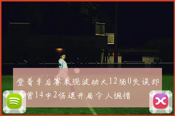 登哥季后赛表现波动大12场0失误却也曾14中2伤退开局令人惋惜